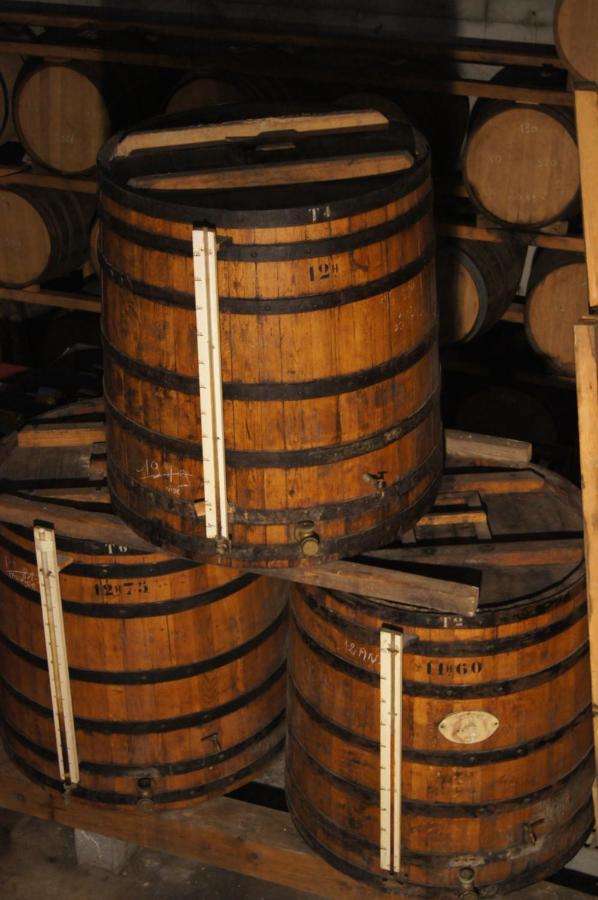 Chateau De Mons Armagnac Caussens Екстериор снимка