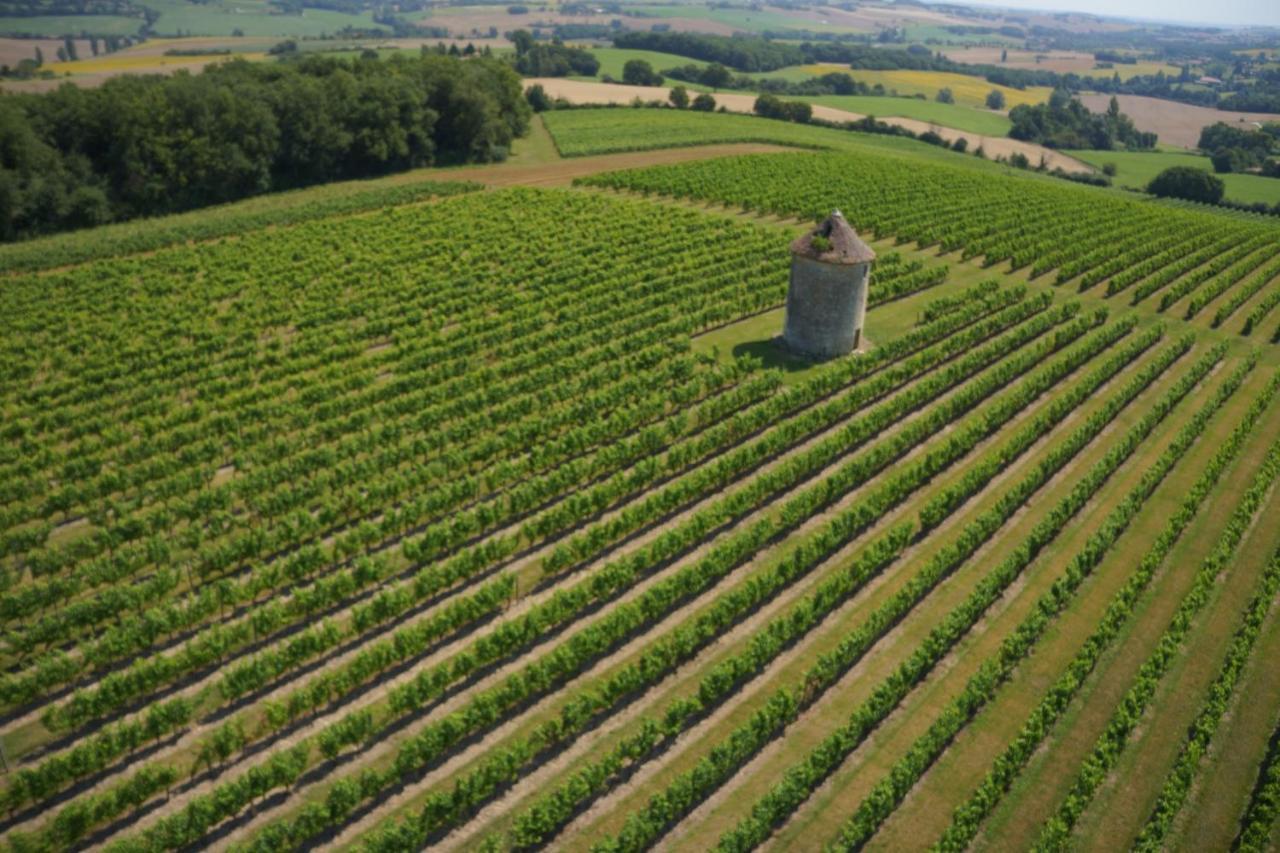 Chateau De Mons Armagnac Caussens Екстериор снимка