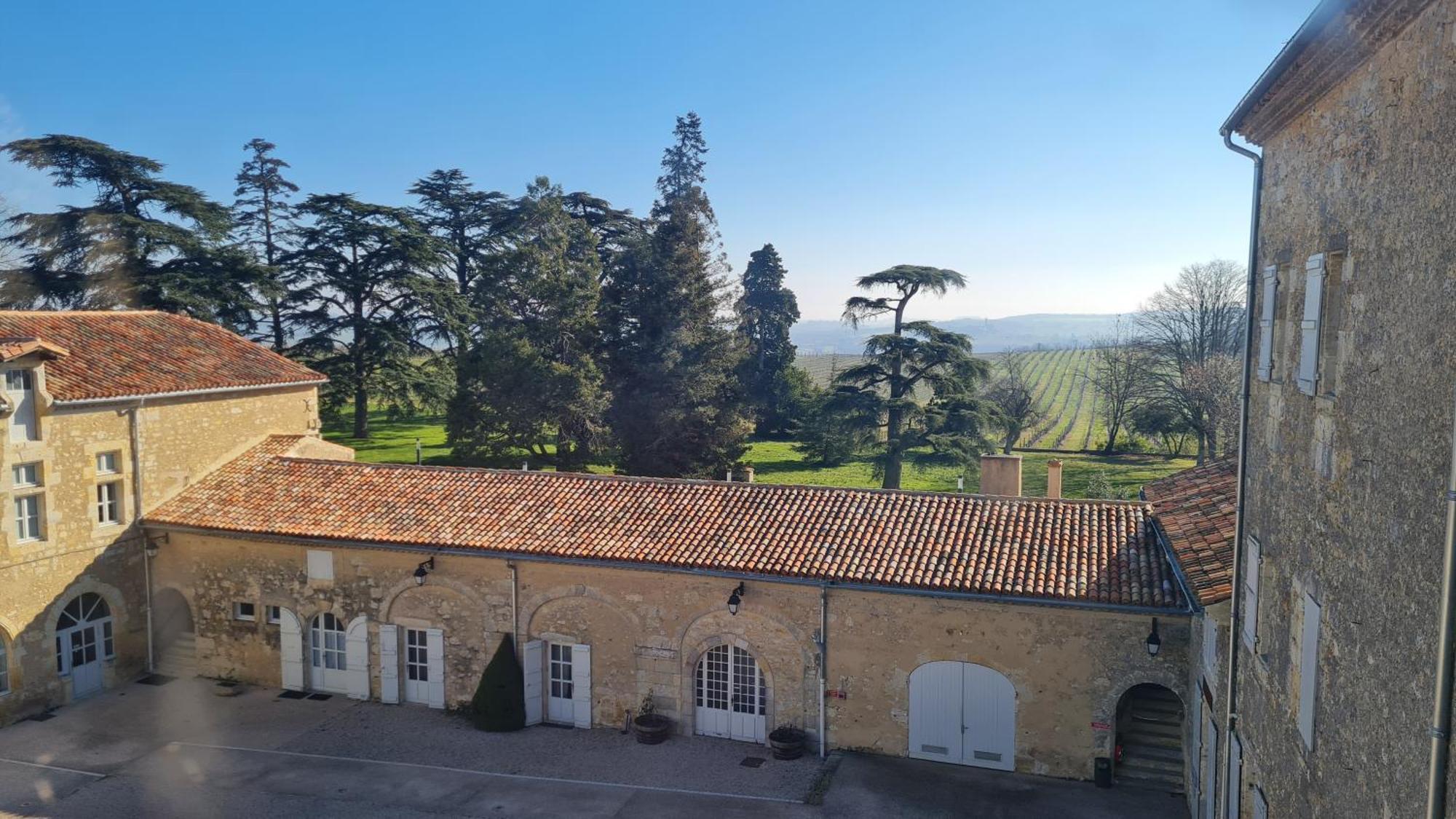 Chateau De Mons Armagnac Caussens Екстериор снимка